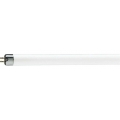 Philips Lighting PLS Leuchtstofflampe TL Mini 13W/33-640