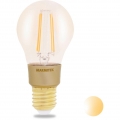 Marmitek GLOW MI Smart Wi-Fi LED filament M E27 650 lumen 40 W