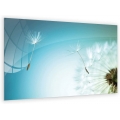 Glasbild Glastafel Magnettafel PUSTEBLUME LÖWENZAHN BLUME Memoboard Wandtafel 90x60 cm