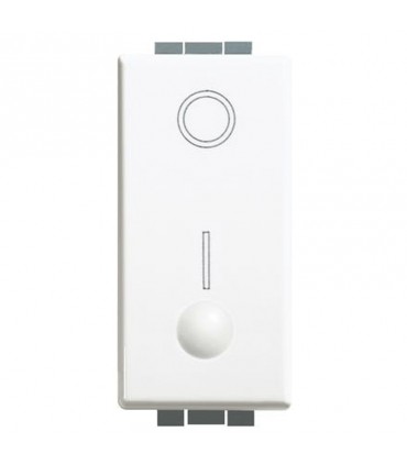 Bticino Luna zweipoliger Schalter 16A C4002L