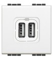 Bticino LivingLight Doppel-USB-Steckdose mit Netzgerät N4285C2