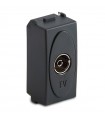 Master durch TV-Buchsenmodus 31255