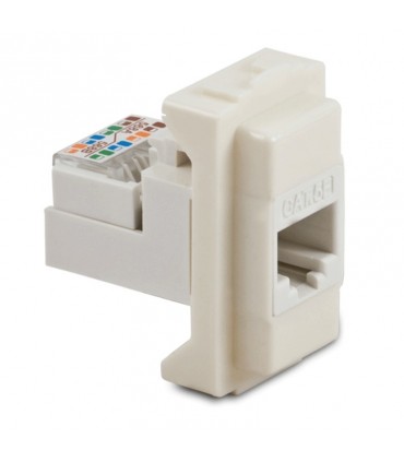 Master RJ45-Steckdose plug 8-8 Cat.5E UTP 6096
