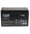 Fiamm 12V 7Ah FG20721 Bleibatterie