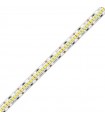 Ledco Led-Streifen 60W 4000K 24V IP65 5 Meter SL200LBN65/ESN