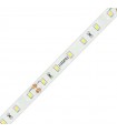 Ledco LED-Lichtbänder 60W 24V 5500K IP20 5 Meter SL60LBI20