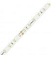 Ledco Led Strip 60W 4000K 24V IP65 5 Meter Strang SL60LBN65
