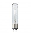 Philips Master SDW-T PG12-1 100W 2550K SDWT100 Lampe