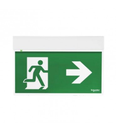 Schneider ExEasysign Notfallleuchte 24 Meter SE-SA OVA38250