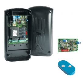 More about Came zentral KIT ZR24N 8K09QA-001
