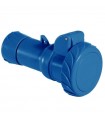 Schneider mobile Industriesteckdose 2X16A+E 230V IP67 blau PKY16M723