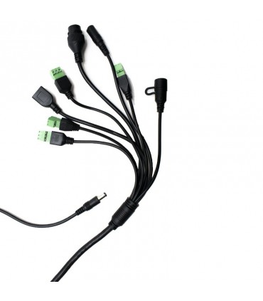 Grüner Pass-Detektor und Thermoscanner CDVI FTC1000W-GP