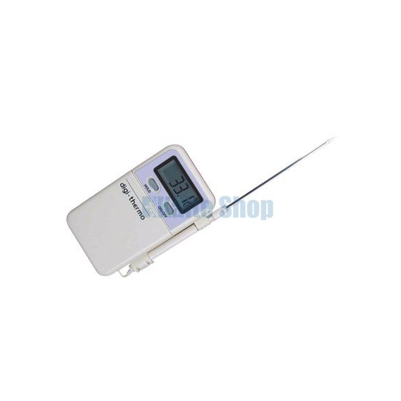 Digital Thermometer WT2