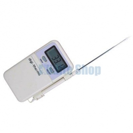More about Digital Thermometer WT2