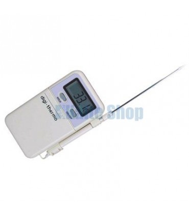 Digital Thermometer WT2