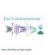 UV-C LED DESINFEKTIONSSYTEM BLUESCIENCE - LED DRIVER+700MM STRIP für Wand- und Deckengeräte
