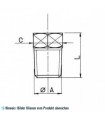 Verschlusstopfen NPT 1/4"NPT x 14 WIGAM P3-B (100 Stk in Verpackung)
