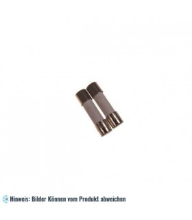 Sicherung Mikrowelle 12,5 A (5 x 20 mm)