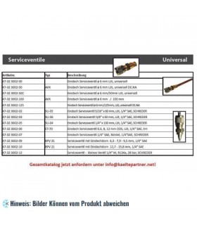 Serviceventil Schrader mit Rohr 6 mm x 100 mm