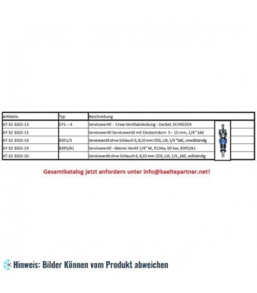 Ventil Deckelschraube 1/4"SAE, SCHRADER (Kappe für Schraderventil, Endkappe, Verschlusskappe, Schraderventilkappe)