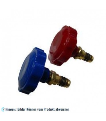 Kolbenventil Stem komplett mit Knopf (2)