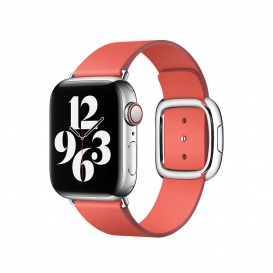 More about Apple 40Mm Pink Citrus Modbuckle L