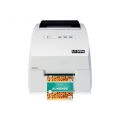 Primera LX500e - Etikettendrucker - Farbe Primera
