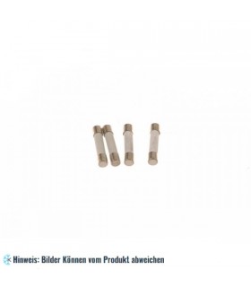 Sicherung Mikrowelle 8 A (6,3 x 32 mm)