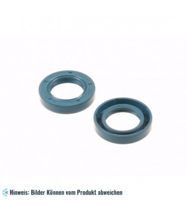 Wellendichtung 32 x 52 x 10/12 GP, Kunststoff mit eingelassenem Stahlring, SI