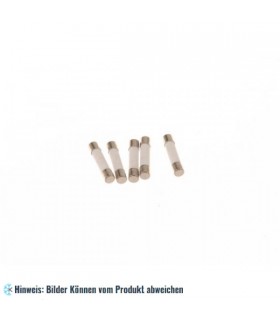Sicherung Mikrowelle 12,5 A (6,3 x 32 mm)