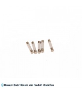 Sicherung Mikrowelle 12,5 A (6,3 x 32 mm)