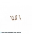 Sicherung Mikrowelle 12,5 A (6,3 x 32 mm)