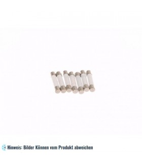 Sicherung Mikrowelle 16 A (6,3 x 32 mm)