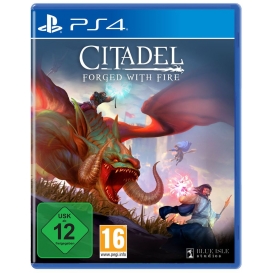 More about Citadel - Forged with Fire - Konsole PS4