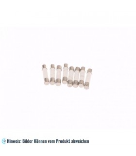 Sicherung Mikrowelle 12 A (6,3 x 32 mm)