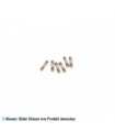 Sicherung Mikrowelle 10 A (5 x 20 mm)
