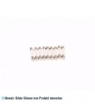 Sicherung Mikrowelle 10 A (6,3 x 32 mm)