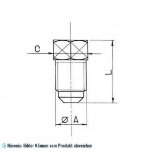 More about Verschlusstopfen 1/2"SAE x 20 WIGAM P2-8