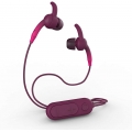 iFrogz Earbud Sound Hub Plugz FG | Lila/Pink | Kabelloses In-Ear-Headset