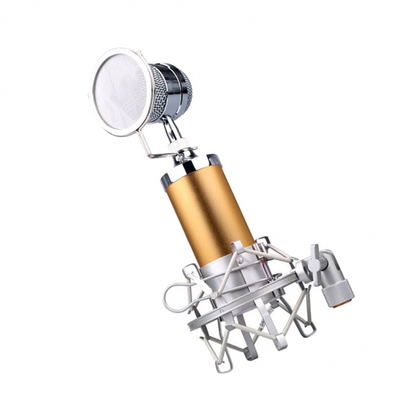 bewegliches   Mikrofon der Plastikminikapazität golden Farbe Golden