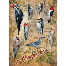 More about Cobble Hill puzzle 500 Teile - Woodpeckers