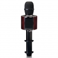 Lenco BMC-090BK - Karaoke Mikrofon mit Bluetooth - 5 Watt RMS Lautsprecher - Integrierter Akku - Lichteffekte - Handyhalter - US
