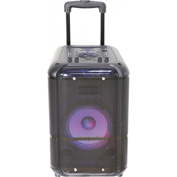 Denver  TSP-306 Bluetooth Trolley Speaker 8 Zoll Lautsprecher