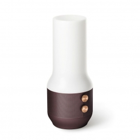 More about Lexon TERRACE, Bluetooth-Speaker, Leuchte und Powerbank, verschiedene Farben Farbe: Brown