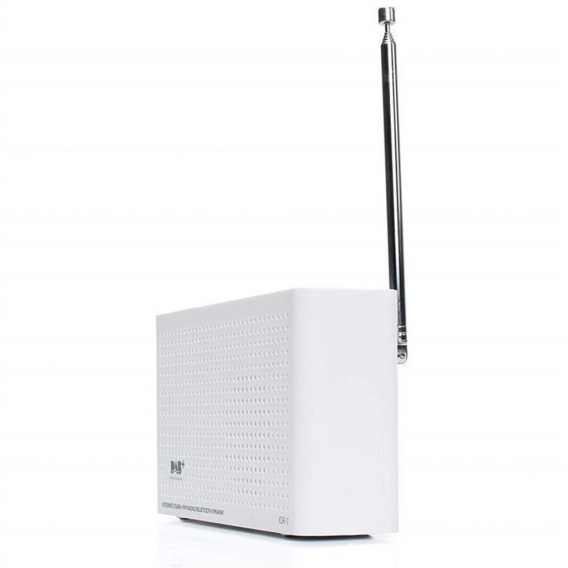 Anadol 4 in 1 IDR-1 Internet Radio/DAB+ / FM-UKW/Bluetooth Lautsprecher! WLAN WiFi, DLNA, UPnP, tragbar, LCD-Display, Sleep-Time