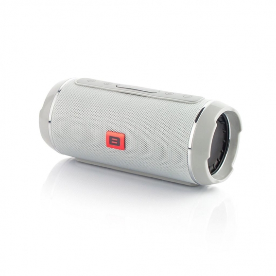 Tragbarer Bluetooth Lautsprecher 20W RMS UKW-Radio MicroSD AUX Grau