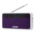 Rolton E500 Wireless Bluetooth Lautsprecher 6W HiFi Stereo Musik-Player Portable Digital FM Radio w / Taschenlampe LED-Anzeige M
