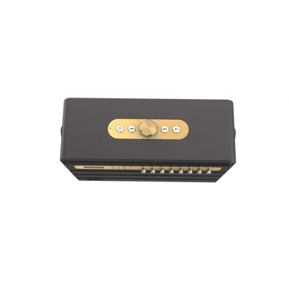 Aiwa MI-X450 Pro ENIGMA Lautsprecher 120 Watt (Gitarreneingang, Fernbedienung, 2x kabellose Mikrofone) Braun-Gold