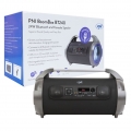PNI BoomBox BT240 Stereo, tragbarer 24-W-Lautsprecher, mit Bluetooth, USB, Micro-SD-Kartensteckplatz, UKW-Radio, 3,5-mm-AUX, Kar