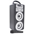 DYNASONIC Bluetooth Lautsprecher für Karaoke Kinder Anlage MP3 Player Boxen Akku-Lautsprecherbox